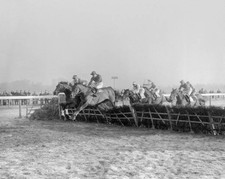 Eventual winner Ulster Prince