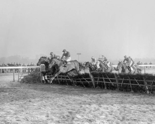 Eventual winner ulster prince - eventual,