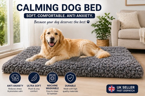 Large calming dog - calming, xxl