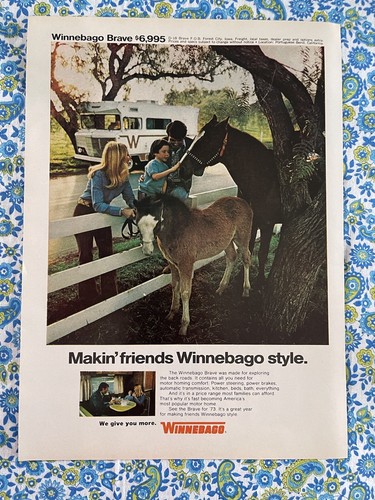 Vintage 1973 winnebago brave - winnebago,