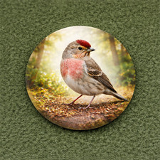 British Bird Redpoll  38mm Pin