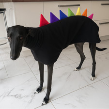 Greyhound dinosaur coat - dinosaur, •