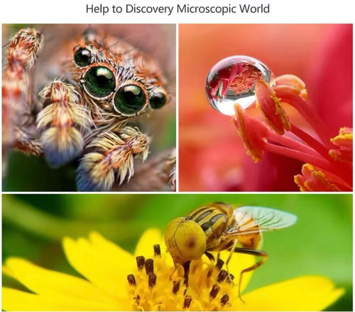 Nikon mount macro - mount, extension
