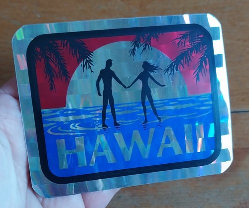Hawaii silhouette surfing - silhouette,