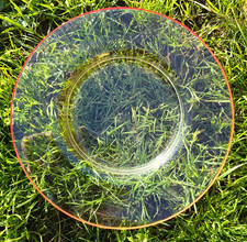 Venini Glass Large dish with