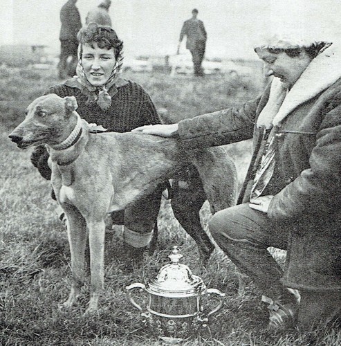 Hare coursing waterloo cup - hare-coursing,