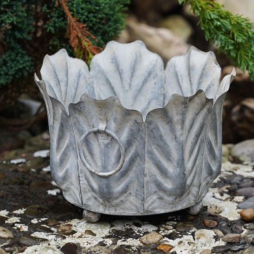 Acanthus planter zinc - acanthus,