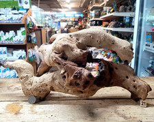 Extra Large 38-55cm Mopani Wood Individual Pieces Aquarium Fish tank Bogwood