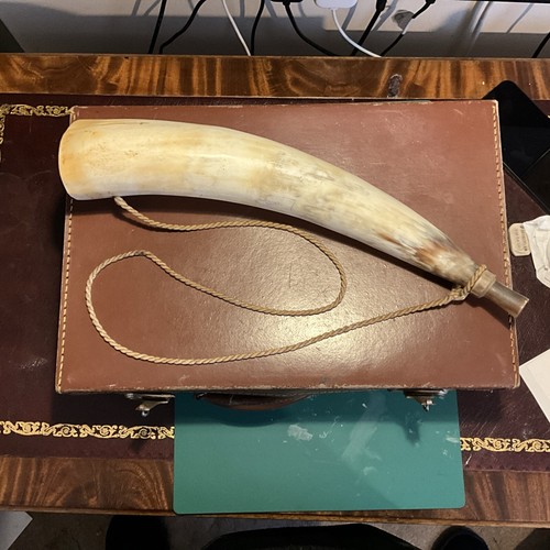 Cow horn bugle - cow, bugle.