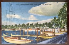 Coconut Palms along Yacht Basin, Fort Myers, FL - 1951, Rough Edges