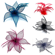 Ladies Feather Beak Clip