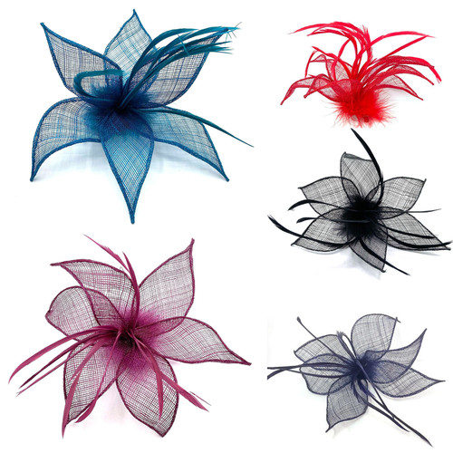 Ladies feather beak - feather,
