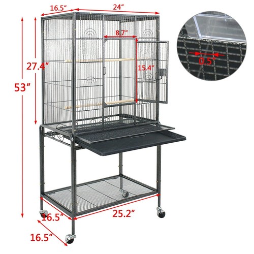 Black parrot cage bird - black,