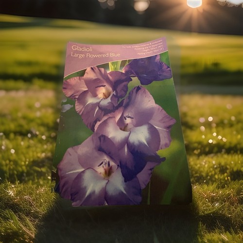 Blue gladioli bulbs - blue, –
