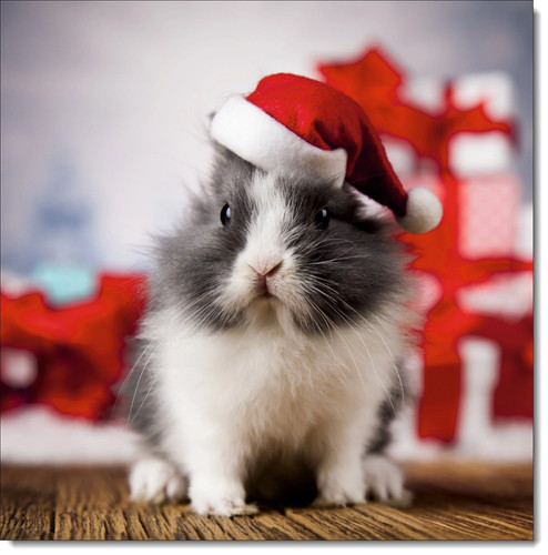 Doodlecards christmas card - christmas,