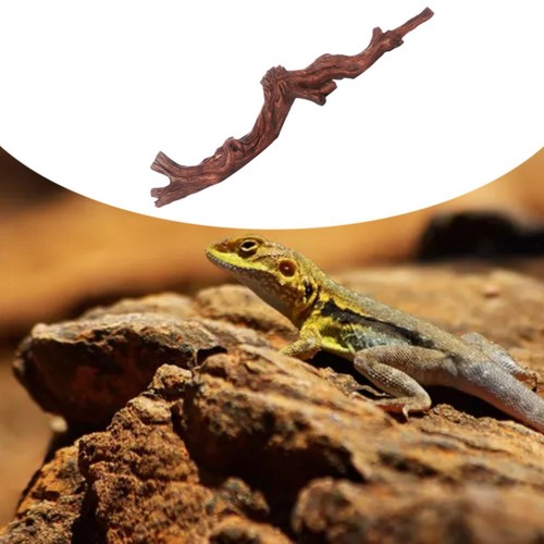 Reptile corner climbing branch - corner,