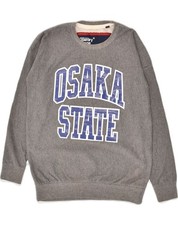 SUPERDRY Mens Graphic