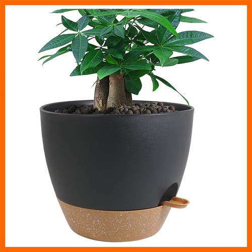 Inch large self watering - 12,