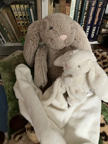 Jellycat bashful bunny rabbits - bashful,