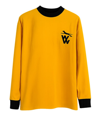 Wolverhampton wanderers wolves - wolverhampton,