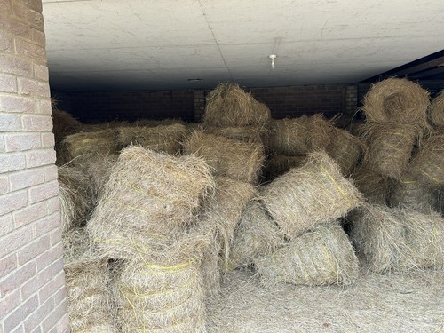 100 mini round bales hay - mini,