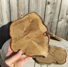 Wooden Slices Crafts 1-23CM LOCAL Wood Log Discs Round Wedding Rustic Coasters
