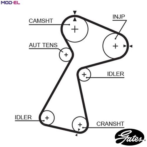 Timing belt 5561xs - belt, renault