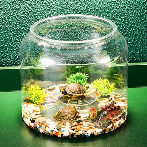 Turtle container aquatic - turtle,
