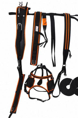 Nylon webbing driving harness - driving,