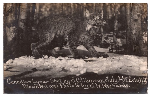 1909 rppc canadian - rppc,