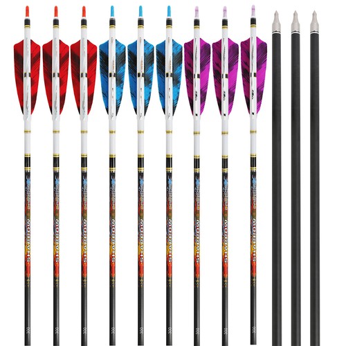 Archery pure carbon arrows - pure,