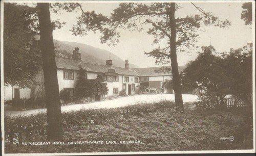 Pheasant hotel - pheasant,