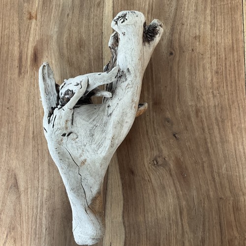 1ft driftwood piece root - 1ft,