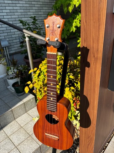 Koaloha concert model 2015 oct - koaloha,