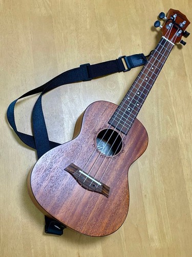 Ellen ukulele 23uk with - el-23uk,