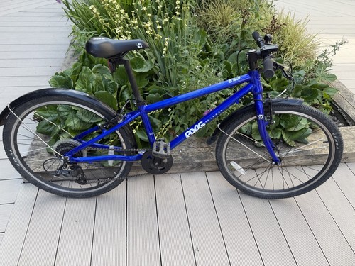 Kids frog bike - kids,