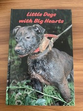 Little Dogs With Big Hearts