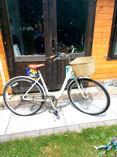 Raleigh caprice ladies - caprice,