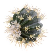 1x Funny Cactus Car Antenna