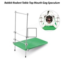 Rabbit Rodent Table Top Mouth