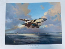 Operation Desert Storm 1991