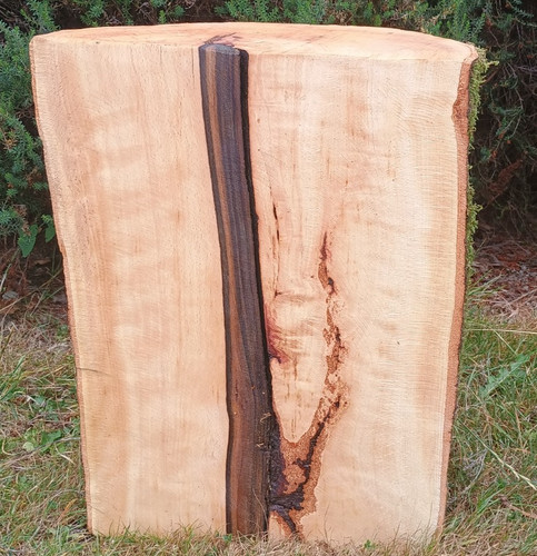 Log side table tree stump