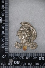 BRITISH ARMY METAL CAP BADGE
