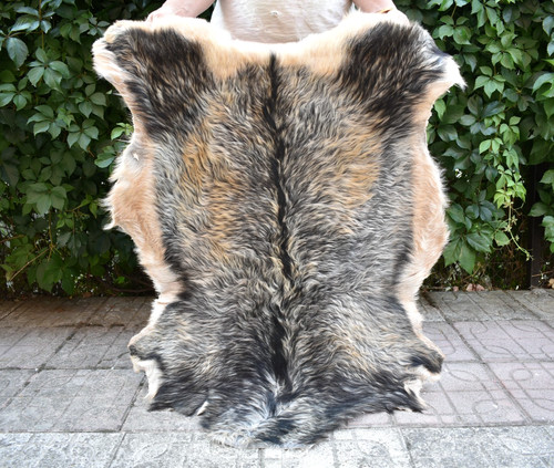Angora goat leather fur - angora, rug