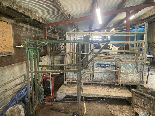 Cattle crush farm supplies - cattle,
