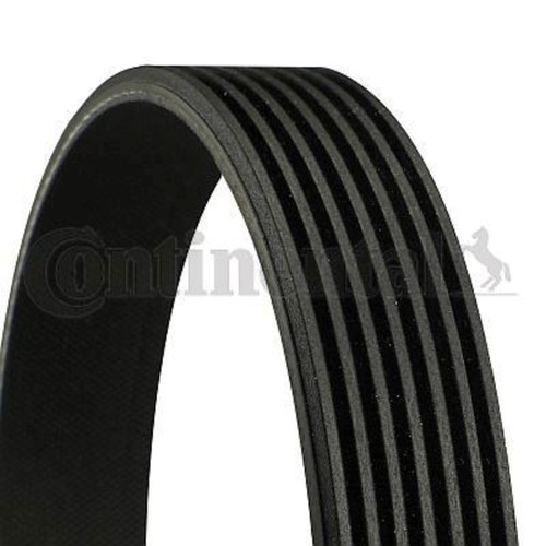 Ribbed belt contitech - belt,