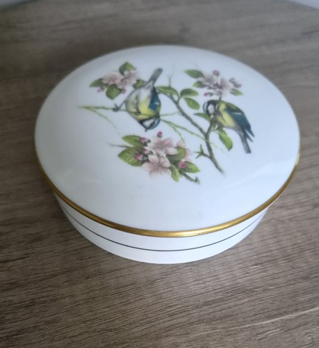 Coalport british birds - british, blue