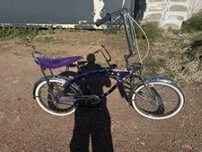 American Beach Cruiser Festival Bike Bicycle