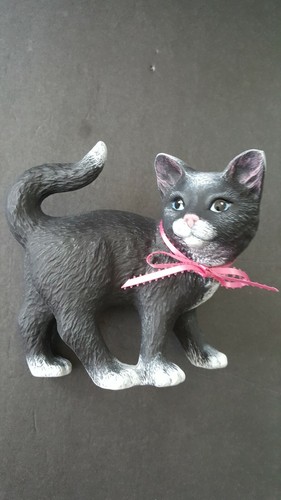 Black white cat - white,