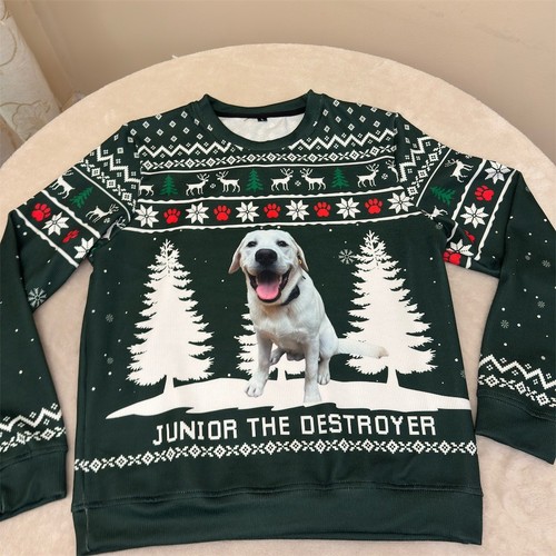 Junior the destroyer - the,
